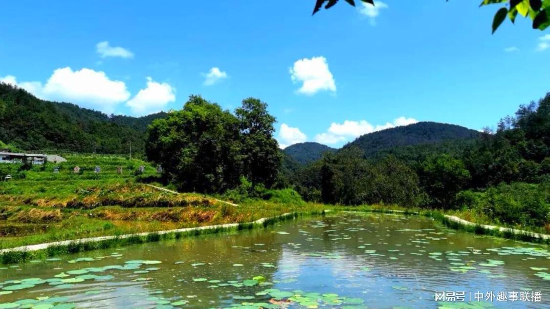 ks免费自助下单平台