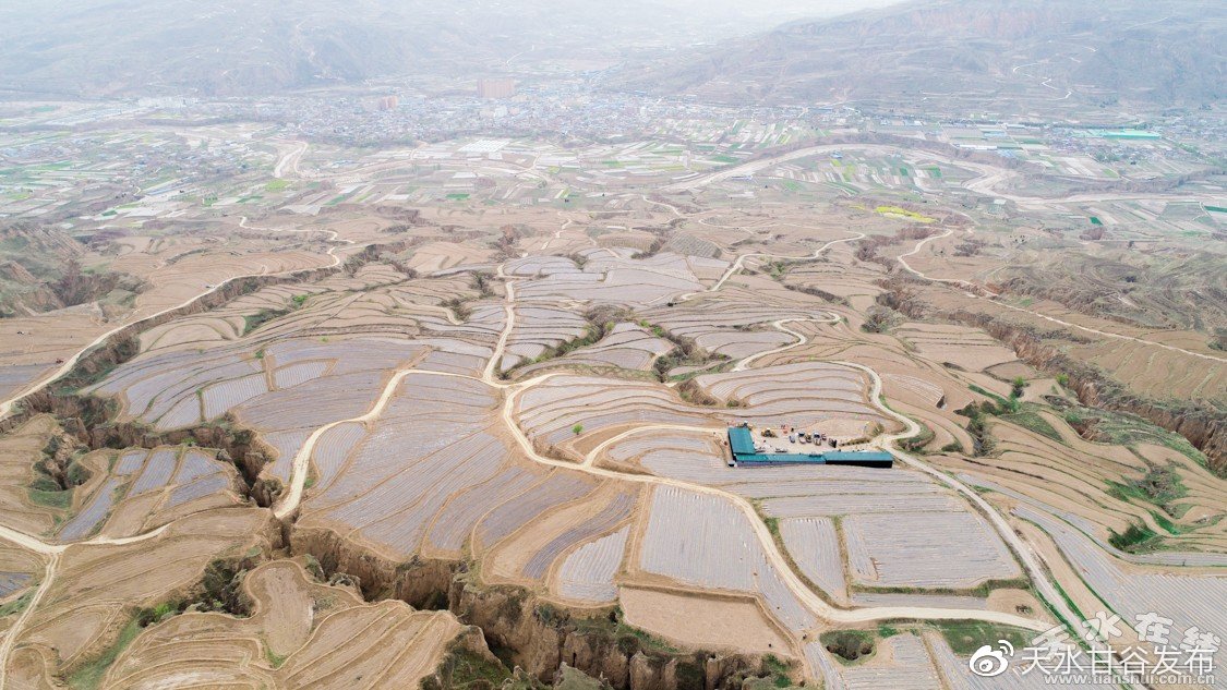 抖音自助下单软件下载